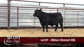 Lot #97 - MILLARS ELEMENT 058
