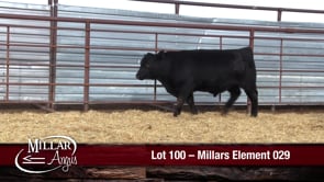 Lot #100 - MILLARS ELEMENT 029