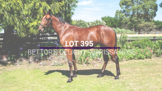 Lot 395