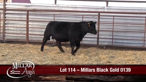 Lot #114 - MILLARS BLACK GOLD 0139