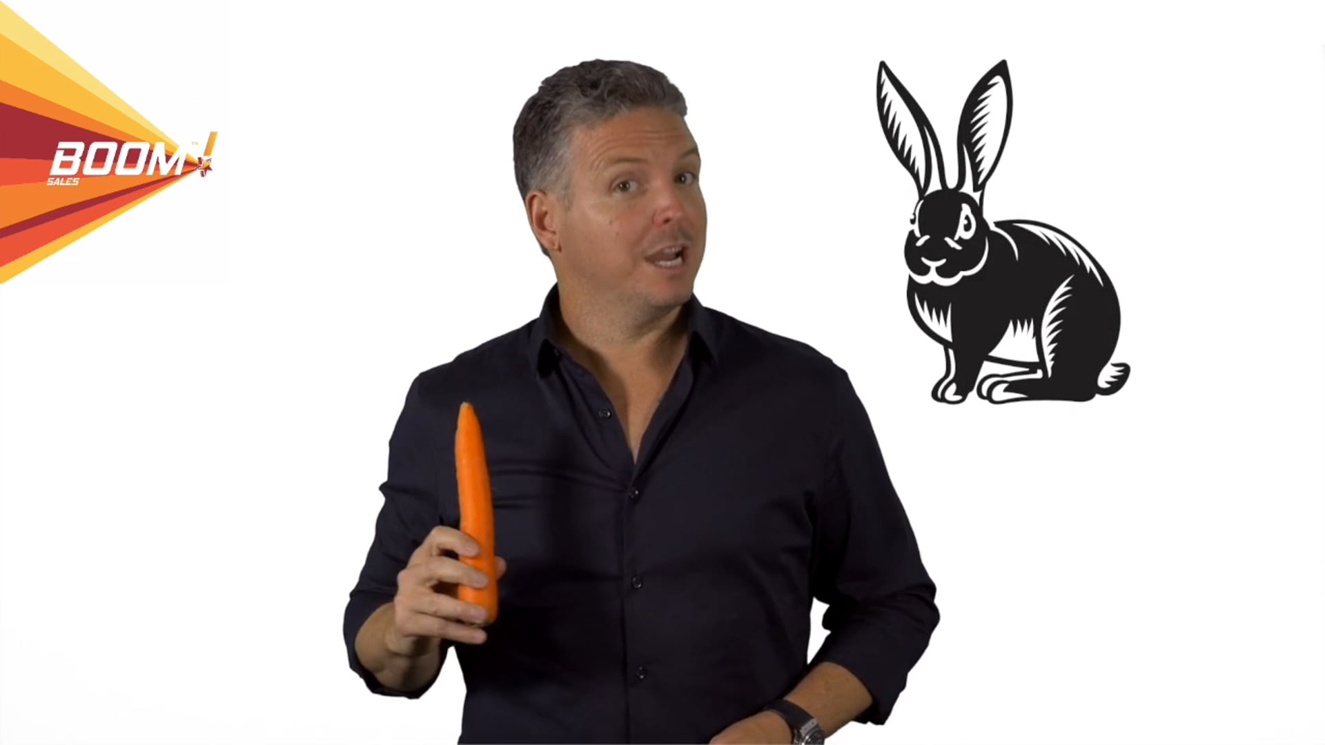 NEVER SELL A CARROT TO A RABBIT