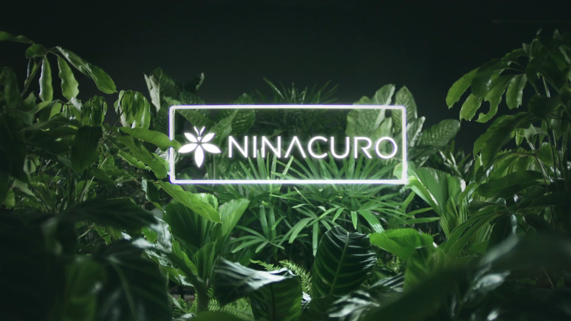 NINACURO