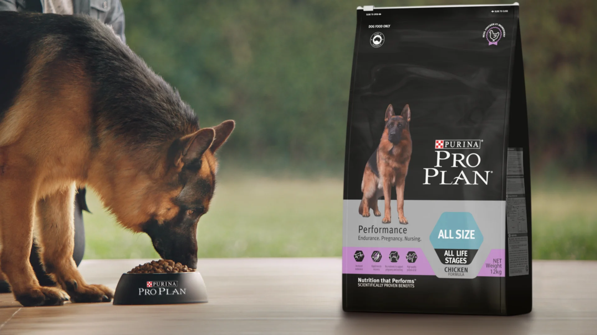 Purina dog food for german shepherd best sale