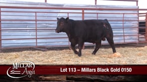 Lot #113 - MILLARS BLACK GOLD 0150