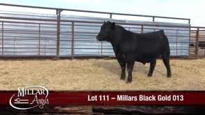 Lot #111 - MILLARS BLACK GOLD 013
