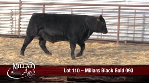 Lot #110 - MILLARS BLACK GOLD 093
