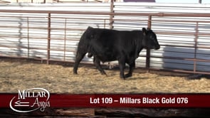 Lot #109 - MILLARS BLACK GOLD 076