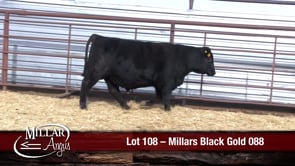 Lot #108 - MILLARS BLACK GOLD 088