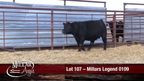 Lot #107 - MILLARS LEGEND 0109