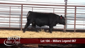 Lot #104 - MILLARS LEGEND 067