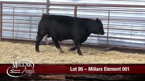 Lot #95 - MILLARS ELEMENT 001
