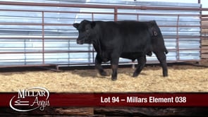 Lot #94 - MILLARS ELEMENT 038