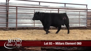 Lot #93 - MILLARS ELEMENT 060