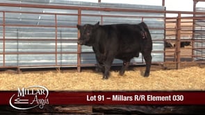 Lot #91 - MILLARS R/R ELEMENT 030