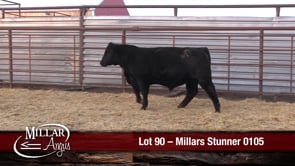 Lot #90 - MILLARS STUNNER 0105