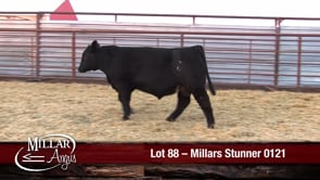 Lot #88 - MILLARS STUNNER 0121