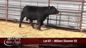 Lot #87 - MILLARS STUNNER 03