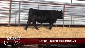 Lot #86 - MILLARS EXCLUSIVE 024