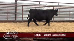 Lot #85 - MILLARS EXCLUSIVE 069