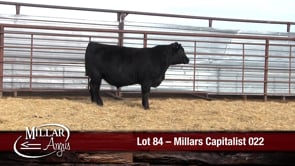 Lot #84 - MILLARS CAPITALIST 022