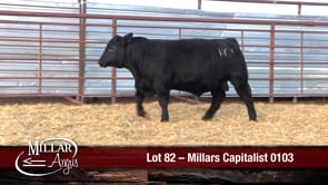 Lot #82 - MILLARS CAPITALIST 0103