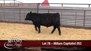 Lot #78 - MILLARS CAPITALIST 053