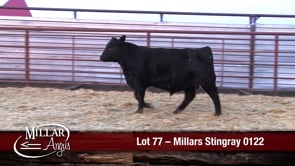 Lot #77 - MILLARS STINGRAY 0122