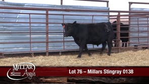 Lot #76 - MILLARS STINGRAY 0138