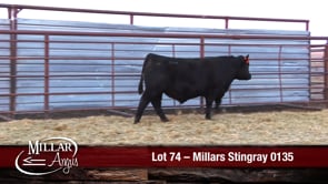 Lot #74 - MILLARS STINGRAY 0135
