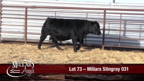 Lot #73 - MILLARS STINGRAY 031