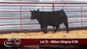 Lot #72 - MILLARS STINGRAY 0126