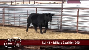 Lot #48 - MILLARS COALITION 045