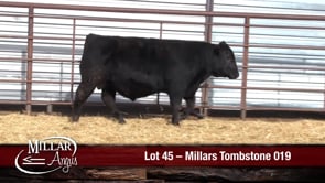 Lot #45 - MILLARS TOMBSTONE 019
