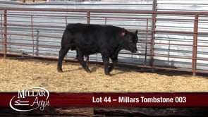 Lot #44 - MILLARS TOMBSTONE 003