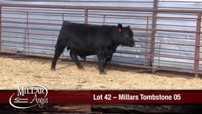 Lot #42 - MILLARS TOMBSTONE 05