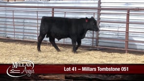 Lot #41 - MILLARS TOMBSTONE 051