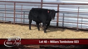 Lot #40 - MILLARS TOMBSTONE 023