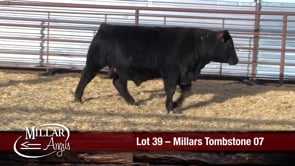 Lot #39 - MILLARS TOMBSTONE 07