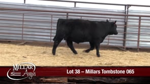 Lot #38 - MILLARS TOMBSTONE 065