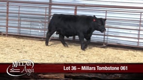 Lot #36 - MILLARS TOMBSTONE 061