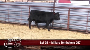 Lot #35 - MILLARS TOMBSTONE 057