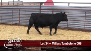 Lot #34 - MILLARS TOMBSTONE 099
