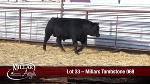 Lot #33 - MILLARS TOMBSTONE 068