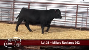 Lot #31 - MILLARS RECHARGE 052