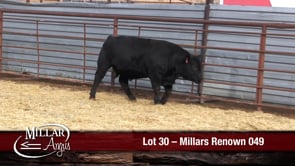 Lot #30 - MILLARS RENOWN 049