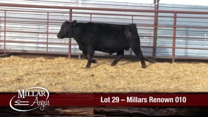 Lot #29 - MILLARS RENOWN 010