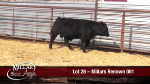 Lot #28 - MILLARS RENOWN 081