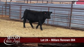 Lot #24 - MILLARS RENOWN 004