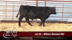Lot #25 - MILLARS RENOWN 087