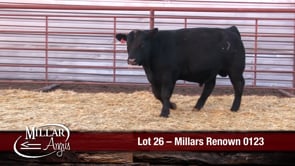 Lot #26 - MILLARS RENOWN 0123